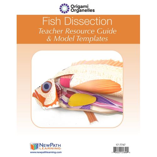 NewPath Atlantic Perch Fish Dissection 3-D Model Making Kit - Individual Student Edition (17-7747)