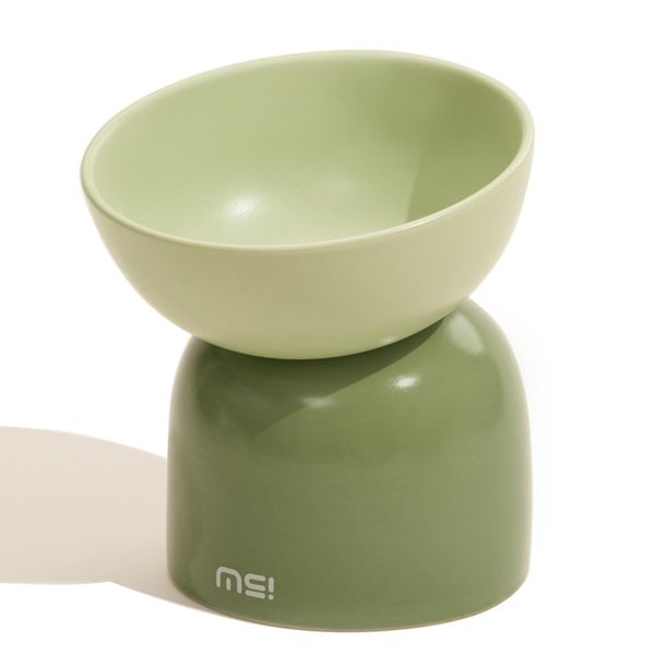 MS!MAKE SURE Elevated Cat Bowl, Ceramic Tilted Cat Food Bowl, Anti Vomit & Whisker Fatigue Cat Bowls for Food and Water (Green)