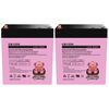 Charity Battery Razor E100/E125 Version 16+, E150 Version 6+ & E175 Version 1+ Electric Scooter Battery 12V 5AH