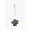 Waxed Canvas Handmade Hanging Planter 6" Forest Green