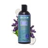 Aleavia Lavender Body Cleanse – Organic & All-Natural Prebiotic Body Wash, Scented with Pure Essential Oils – Nourish Your Skin Microbiome – 16 Oz.