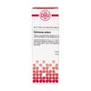 DHU Echinacea Externa Tinktur, 20 ml Lösung