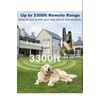 Dog Training Collars