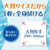 UYEKI CooL Body Shower Towels, 32 Count