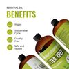 Tea Tree Oil 16 Ounce Bottle for Diffuser, Home Care-2 Pack