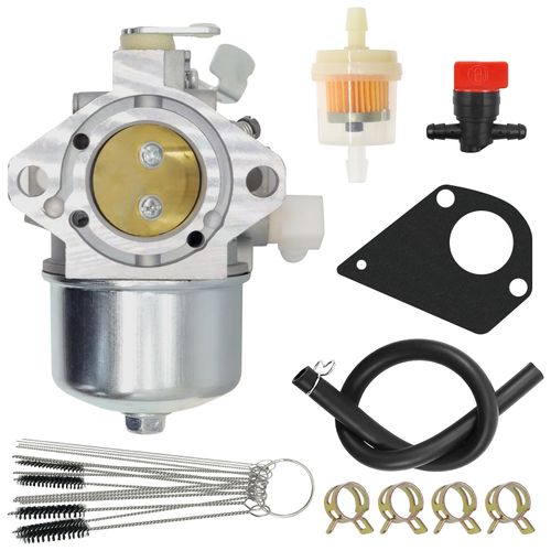 495778 Carburetor for 497581 494883 495782 494894 495784 494881 697594 698171 692684 Lawn Mower Motor 257707-0124 257707-0127 257702-0130 257702-4001