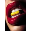Support Neural Function - Memory & Brain Booster 775mg - DMAE Capsules 1B
