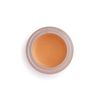 Revolution Conceal and Fix Ultimate Coverage Concealer Light Honey