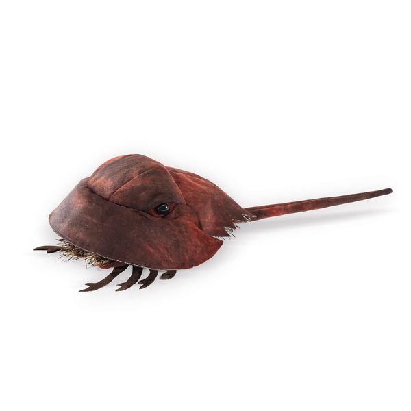 Folkmanis Horsehoe Crab Hand Puppet