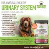 ' Cranberry UTI + Bladder Chews Cranberry Supplement for Dogs Urinary Tract -...