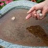 20 Summit BTI Mosquito Control Dunks Bactimous ~ Kill Mosquitoes & Larvae