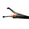 Punisher Series 2S/3S Battery Charge Cable 3ft (EC3)