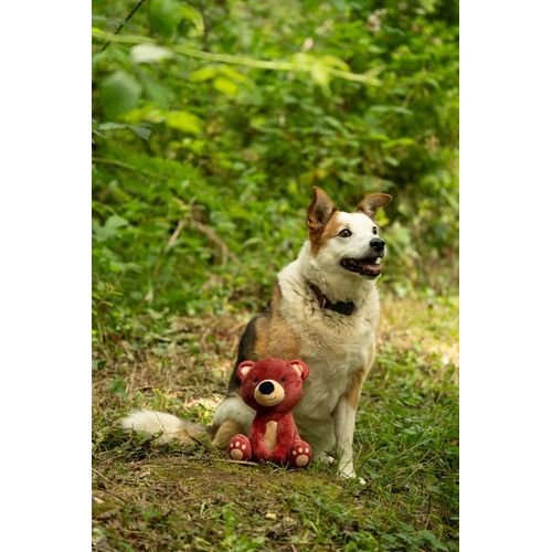 Petface Bruno Baby Bear Plush Dog Toy (Pack of 1)