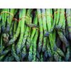 natural antioxidant - Asparagus Extract 600mg - multivitamin 2 Bottles