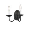 Livex Lighting 4152-04 Home Basics 2 Light Black Wall Sconce