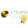 Stevens Lake Parts One New Dash Warning Light with Red Dome Light Various Applications & Models