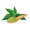 fenjal Refreshing Body Lotion