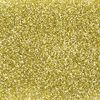 Stargazer Biodegradable Glitter Shaker - Gold. Festival Friendly Biodegradable Cosmetic Glitter