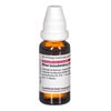 DHU Rhus toxicodendron D10 Dilution, 20 ml Lösung