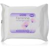 Feminine Gentle Intimate Cleansing Wash and Wipes Bundle Pack