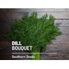 Dill, Bouquet - 100 Seeds - Culinary Herb - Heirloom - NonGMO