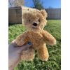 Hairy Barry Lil Plush Ted Dog Toy