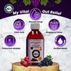 My Vital Gut Relief Dietary Supplement