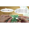 Kamidake "Aogashima, 34,000 Minutes" (Kit)