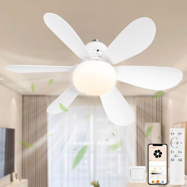 LED Ceiling Fan, Remote Control, Dimmable Color, Stepless Air Flow Adjustment, APP Compatible, Ceiling Light, Memory Function, Timer Function, 10 Tatami Mat, Fan Light, DC Motor, Air Circulation