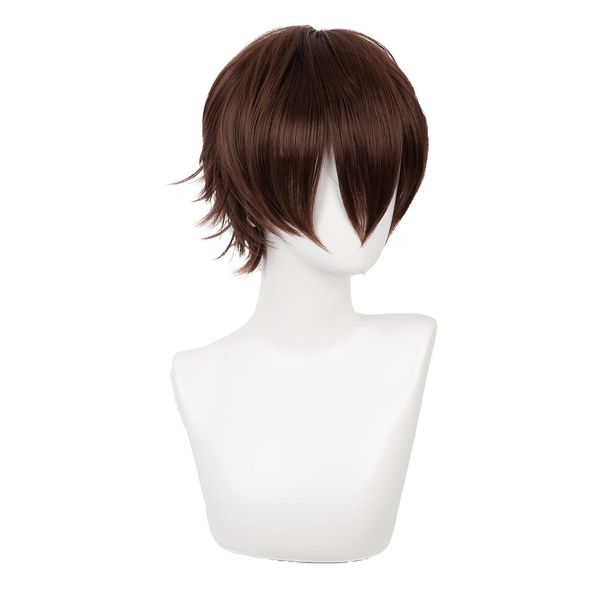 Swiking Mens Short Brown Wigs Women Fluffy Curly Hair Anime Cosplay Party Daily Costume Pixie Women Wig Unisex Full Wig(Brown)