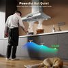 24 Inch Wall Mount Range Hood 450CFM Gesture Sensing & Touch Control 3 Speed Fan