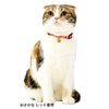 Petio Collar Anycat Collar Dots Yellow for Cats