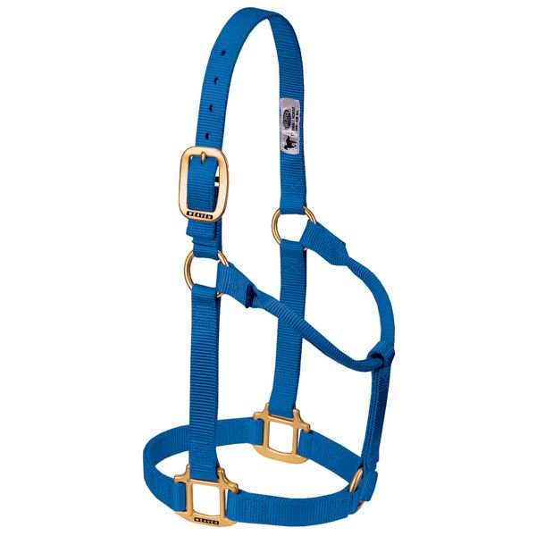 Weaver Leather Original Non Adjustable Halter (Blue, Avarage Horse/Yearling Draft)