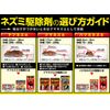 Mouse Hoi Chews with Creases, Strong Adhesive, Mouse Trap, Set of 2