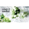 HELEN SEWARD ALCHEMY MASK 13/M 250ML