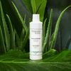 Christophe Robin Christophe Robin Hydrating Shampoo with Aloe Vera 250ml