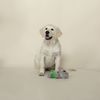 Fringe Studio Plush Dog Toy, Shake Your Palm Palms (289876)