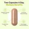 Thyrovanz Thyroid Support Supplement Complex Iodine Free 60 Capsules