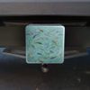 GRAPHICS & MORE Fish Swimming in River Pattern Tow Trailer Hitch Cover Plug Insert