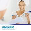 Meridol HALITOSIS Toothpaste PL05719A