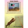Discovery Kids Kitten Corner - Nintendo DS (Renewed)