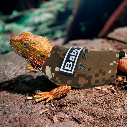 ADOGGYGO Bearded Dragon Harness Leash Set, Lizard Clothe Costume Adjustable Reptile Harness with 5ft Leash for Bearded Dragon Lizard Walking Outdoor (Camo-2, Small)