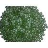 Parasite formula - ANTIPARASITE – SPIRULINA COMBO - black walnut hull powder