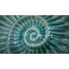 QT Ceramic Ammonite Design Pottery Dsiplay/Serving Plate