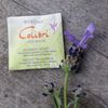 HANGERWORLD - 5 Colibri 5 Lavender Drawer Sachets Wool Protector