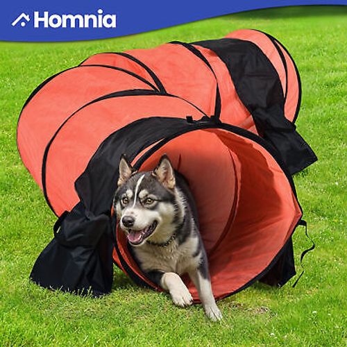 Pet Dog Agility Training Equipment Set Outdoor Obstacle Courses Starter Kit