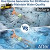 Ozone Generator for Cold Plunge 1000Mg/H Ozone Generator for Water Keep Cold....