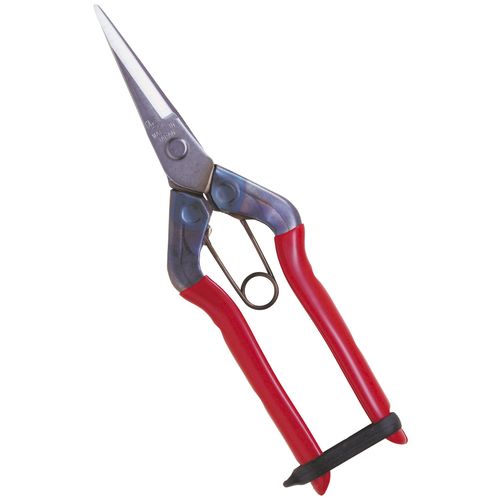 tikamasa Stainless Buds Cutting Scissor T-3 rs-550s
