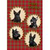 Scottie/Scottish Terrier Dog Birthday Card
