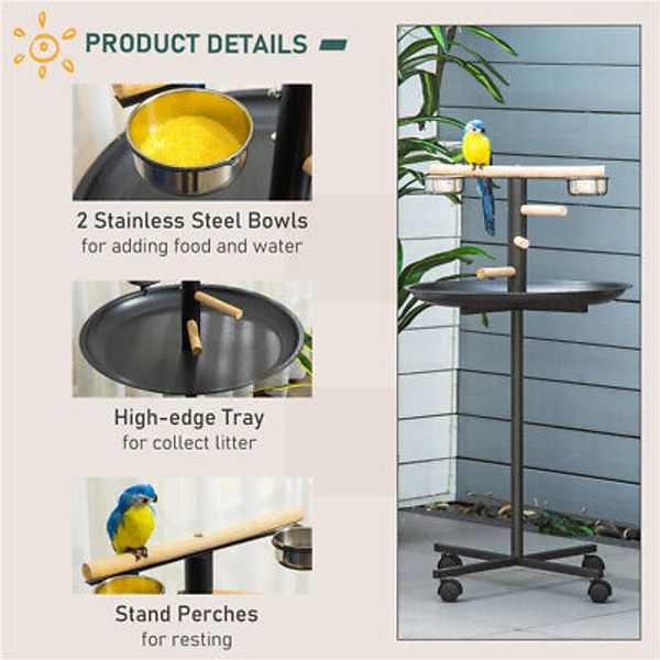 Bird Stand for Parrots Canaries Pet Perches Adjustable Indoor Aviary Display